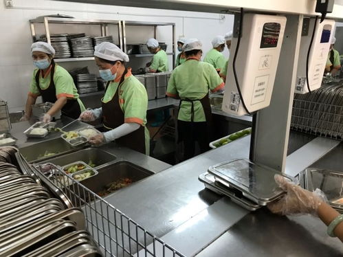 中山市為涉校集體用餐配送單位集中“充電”，筑牢校園食品安全防線